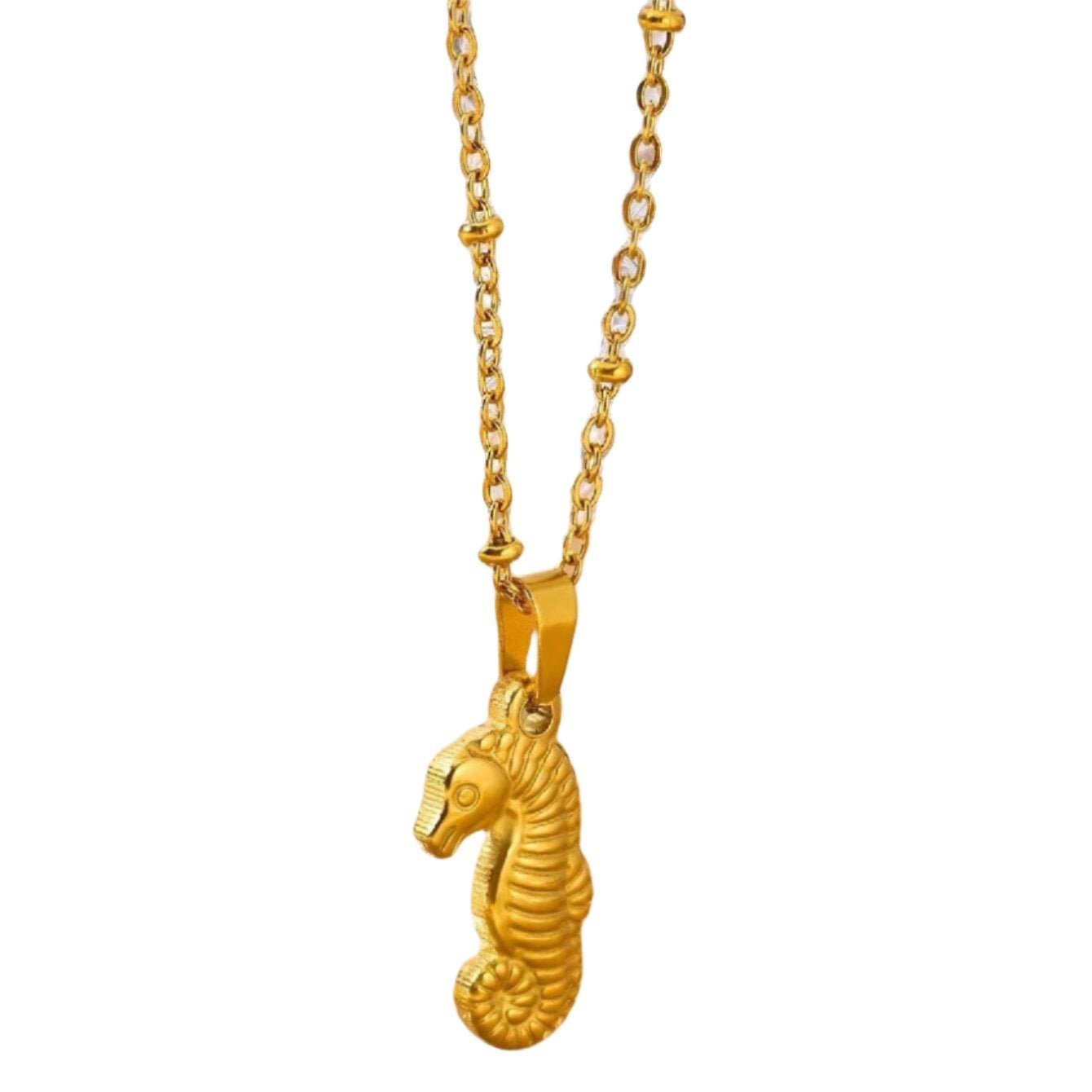 Collier et boucle Hippocampes