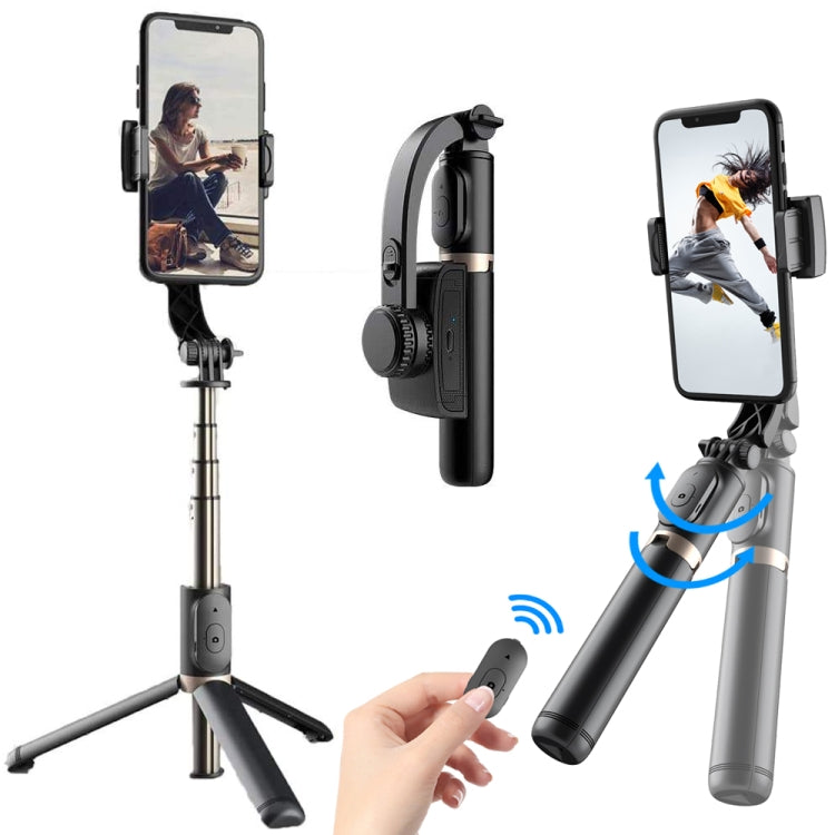 STABILISATEUR Q08